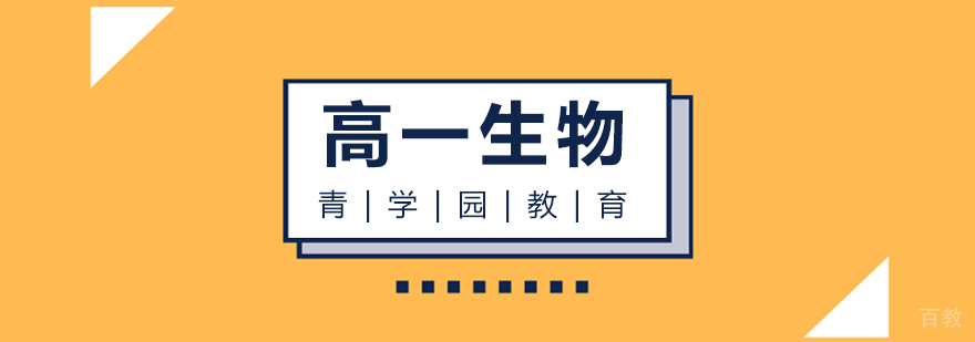 高一生物辅导课程