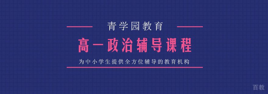 高一政治辅导课程
