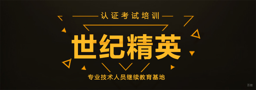 世纪精英