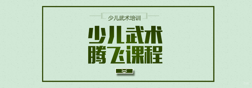 少儿武术腾飞课程