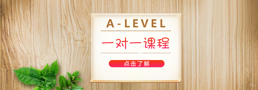A-LEVEL一对一课程