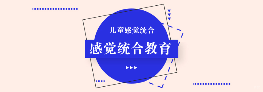 感觉统合教育