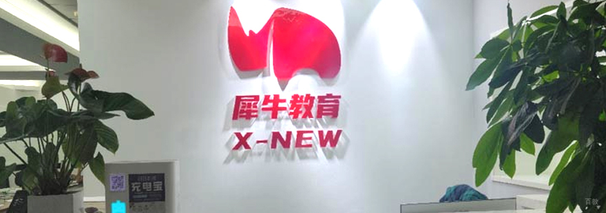 国际教育专家团队