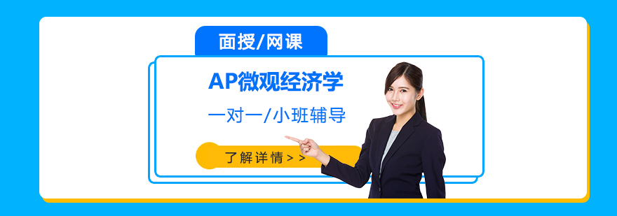 上海AP微观经济学一对一/小班辅导「面授/网课」