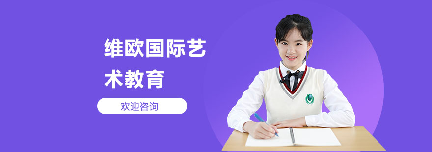 维欧国际艺术教育