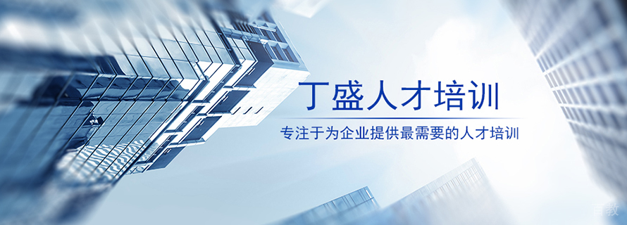 上海丁盛人才