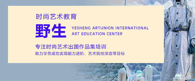 北京野生国际艺术留学