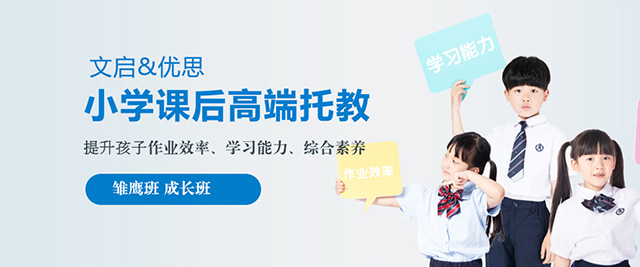 上海文启优思