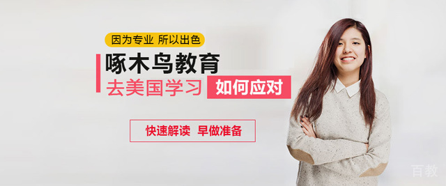 郑州啄木鸟教育