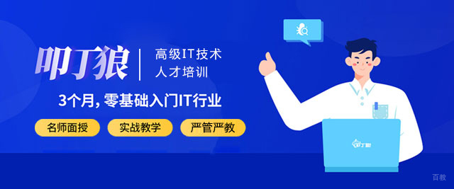 上海叩丁狼教育