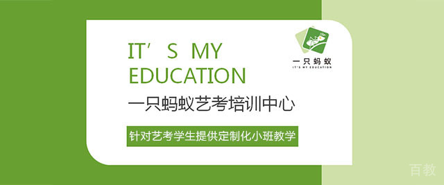 上海一只蚂蚁艺考