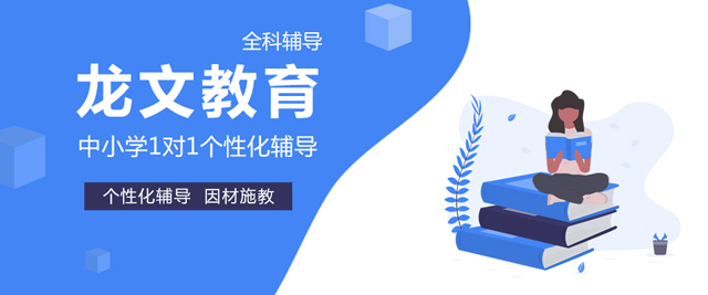 武汉龙文教育