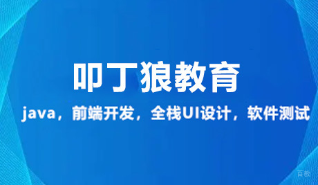 广州叩丁狼教育