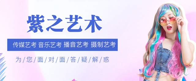 杭州紫之艺术