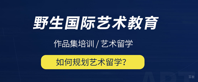 天津野生国际艺术教育