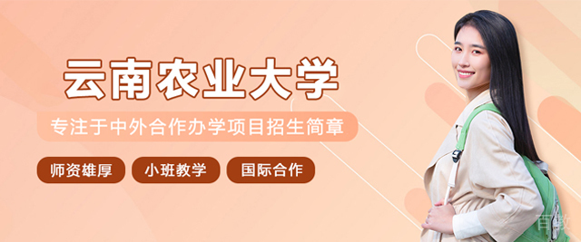 云南农业大学国际教育学院