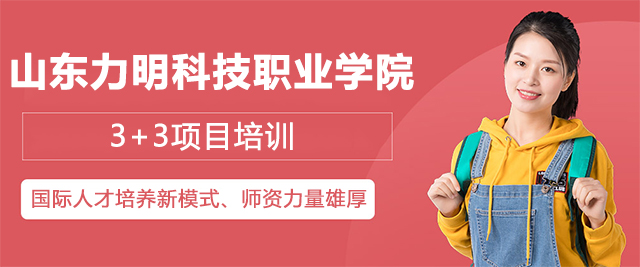 山东力明科技职业学院