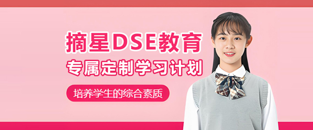 摘星DSE教育