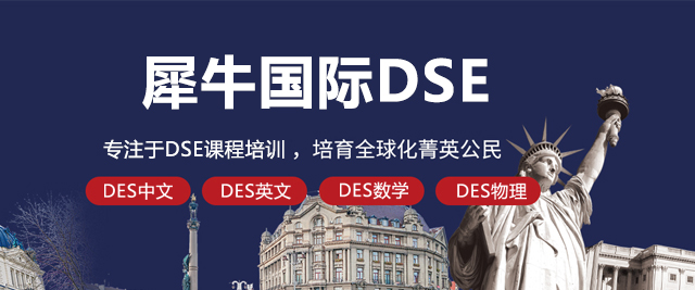 北京犀牛国际DSE课程