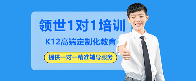 领世1对1