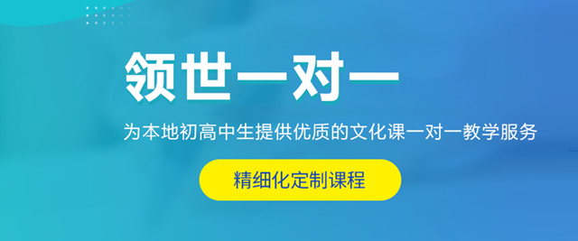 北京領(lǐng)世一對一