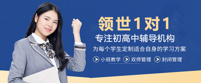 上海领世1对1