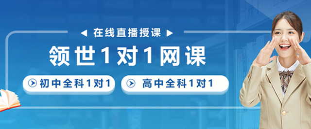 贵阳领世1对1网课