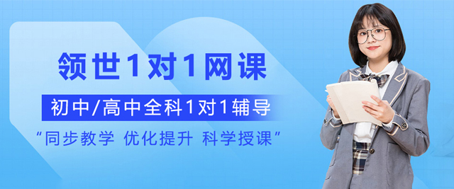 昆明领世1对1网课