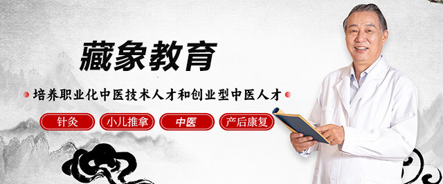 青岛藏象教育