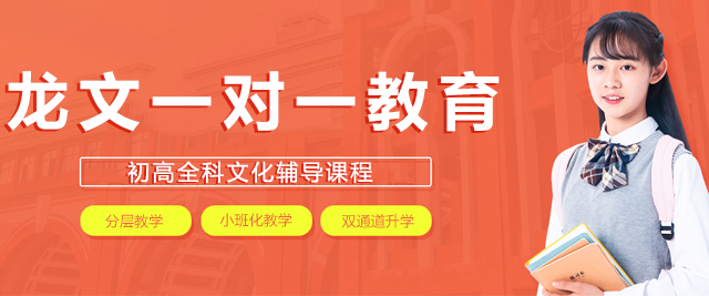 北京龙文一对一教育