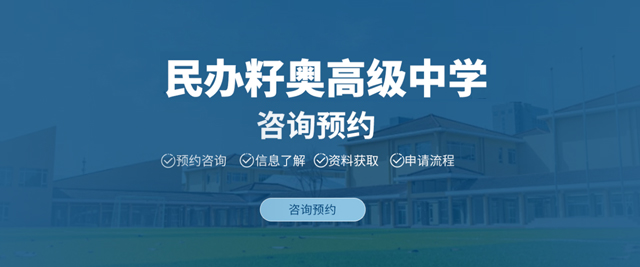 上海籽奥国际高中