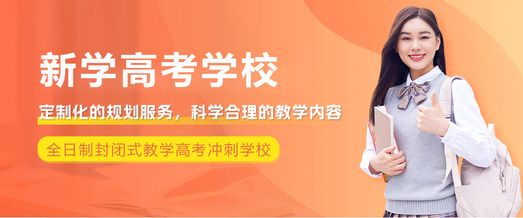 成都新学高考学校