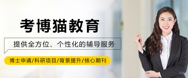天津考博猫