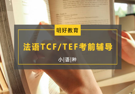 法语TCF/TEF考前辅导