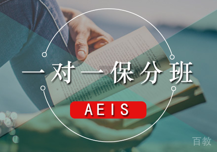一对一AEIS