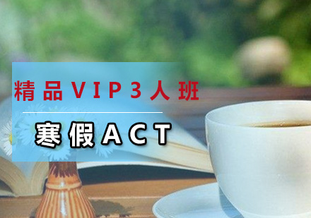 广州寒假ACT精品VIP3人班
