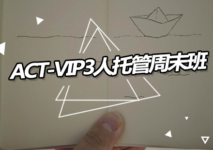 广州ACT-VIP3人托管周末班