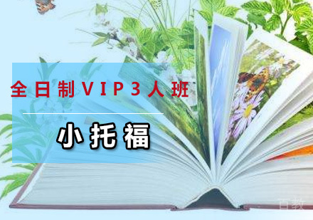 全日制小托福VIP3人