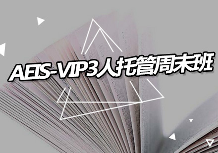 广州AEIS-VIP3人托管周末班