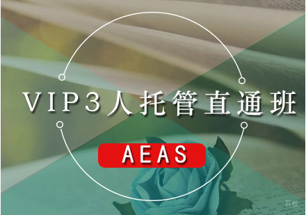 广州AEAS-VIP3人托管直通班