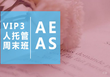 广州AEAS-VIP3人托管周末班