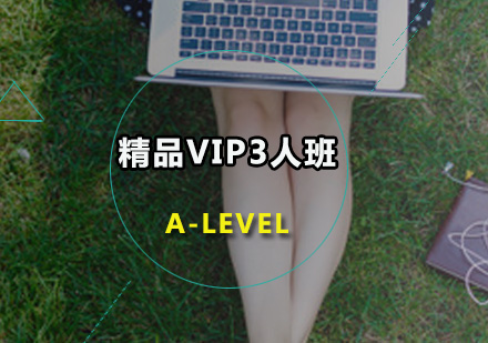 广州AlevelA-LEVEL精品VIP3人班