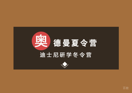 武汉迪士尼研学冬令营