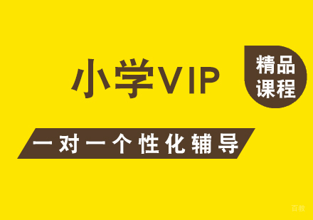 上海小学VIP一对一课程辅导