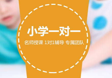 上海小学一对一培训课程