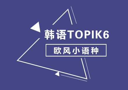韩语TOPIK6辅导班
