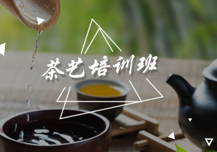 广州茶艺培训班