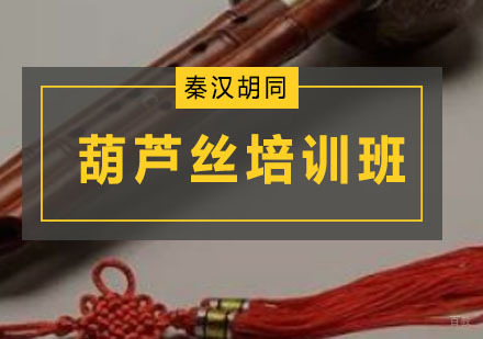 广州葫芦丝培训班