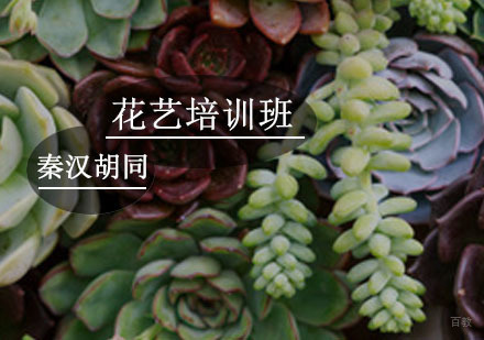 广州花艺培训班