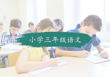 杭州小学三年级语文培训